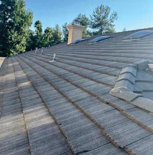 2025 01 03 屋主自己拍的照片