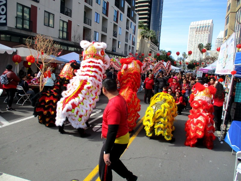 2025 02 10 蛇年活动 2