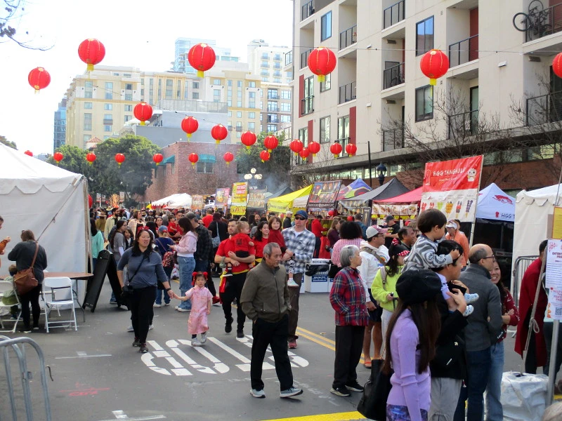 2025 02 10 蛇年活动 5