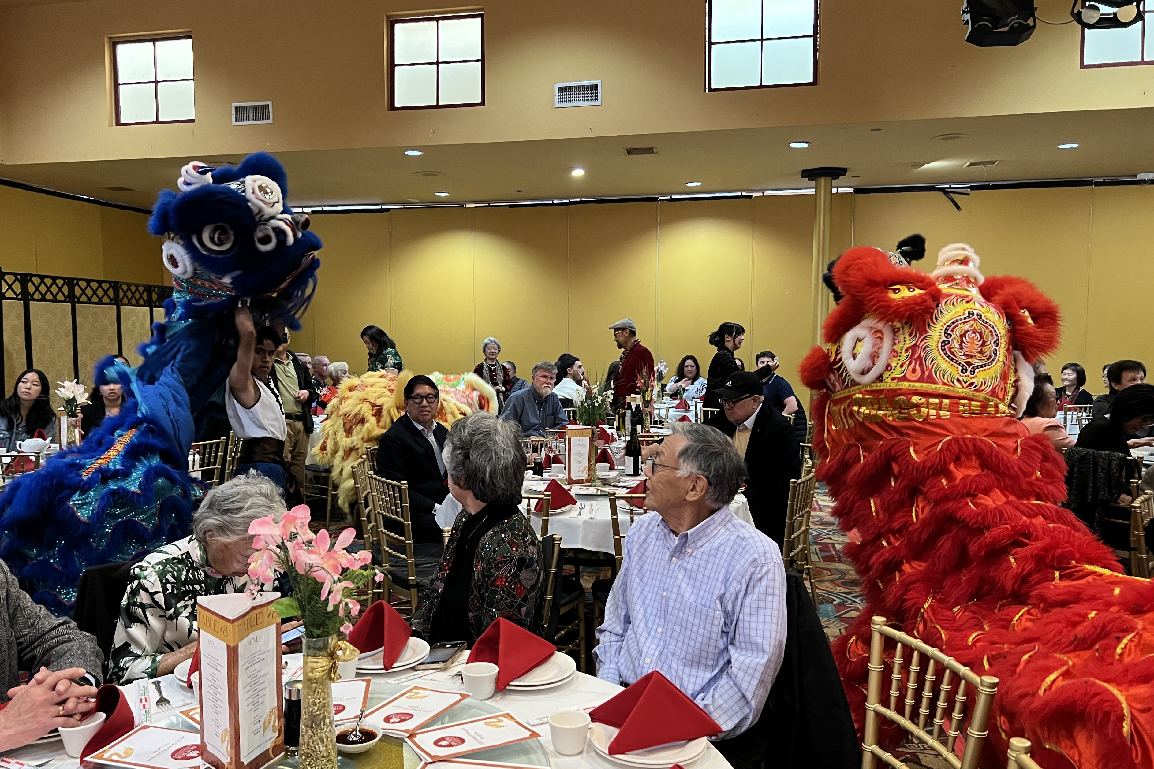 2025 04 27 狮子舞 2