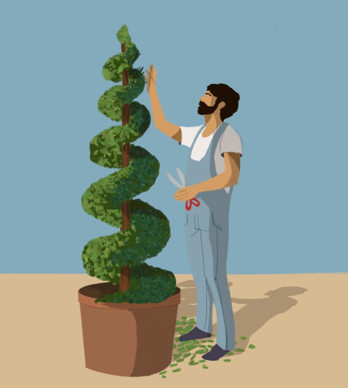 2025 07 23 园艺师