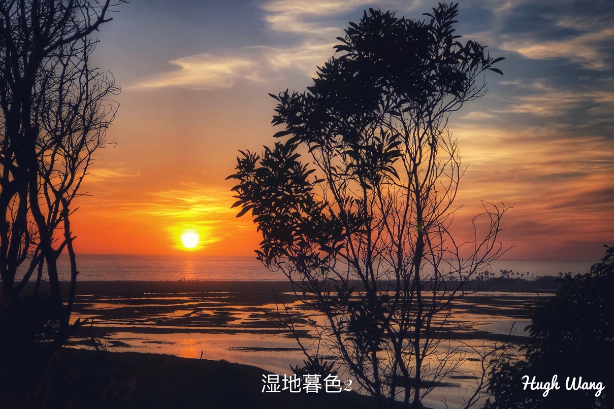 2025 08 12 湿地暮色2