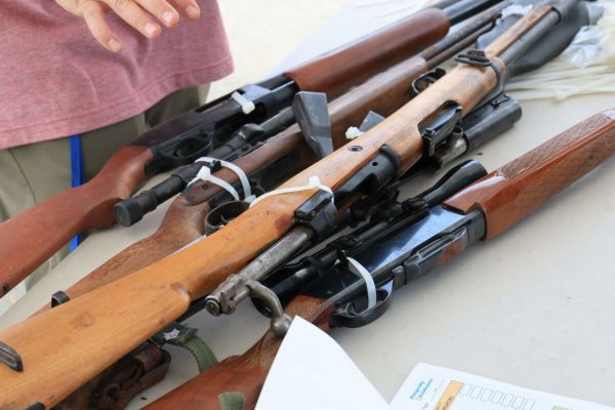 2025 08 24 collect guns 2