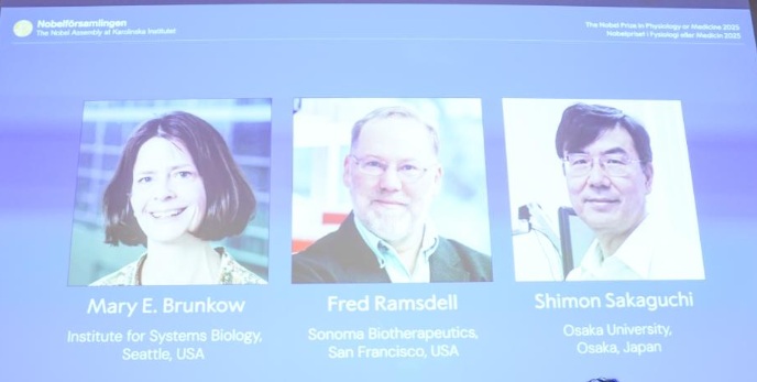 2025 10 10 2025 医学奖