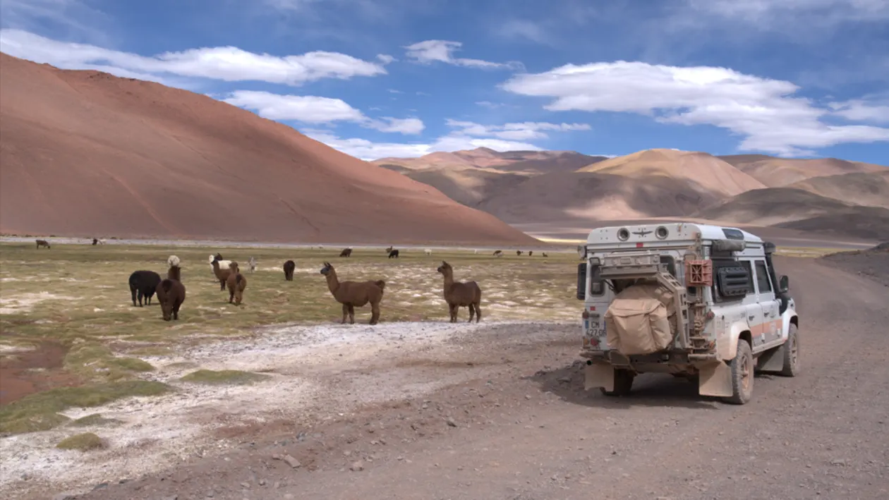 2025 10 21 旅游者 4