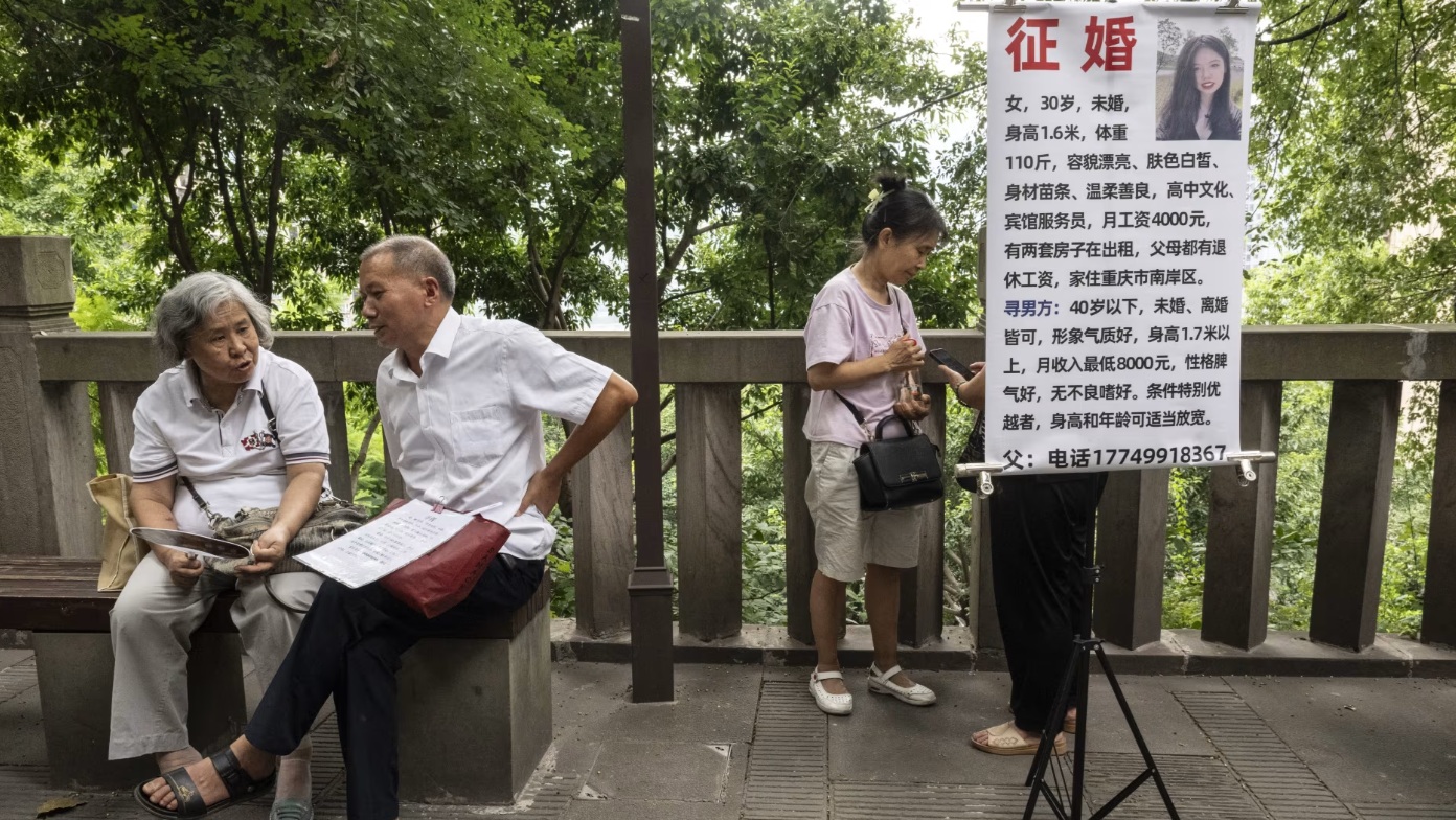 2025 11 1 相亲角 华尔街日报 2