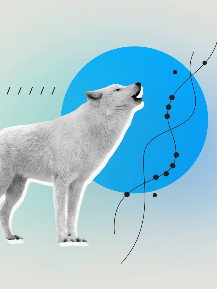 2026 01 18 tech 6 Gebe resurrection