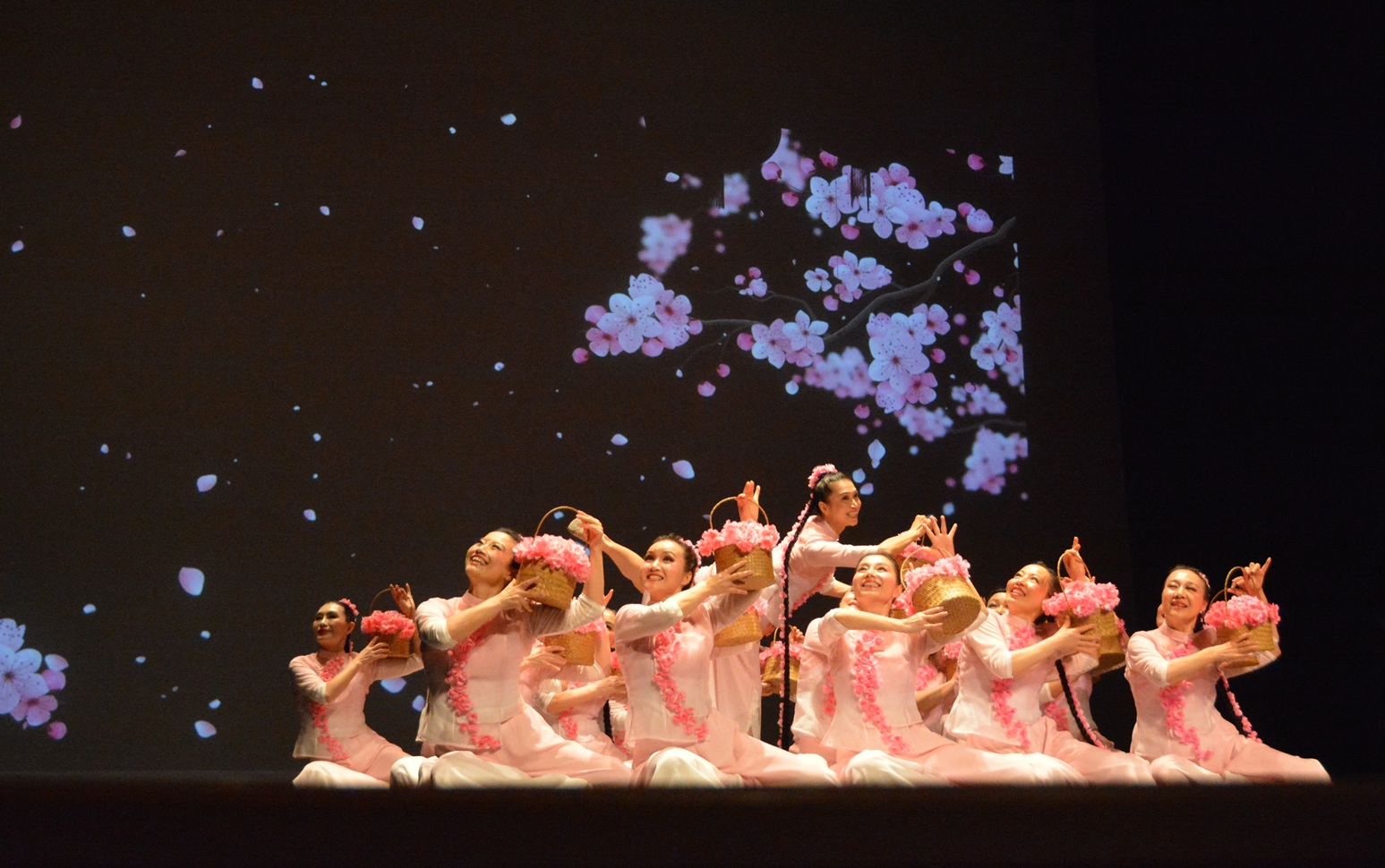 2026 02 21 14 春分花信来